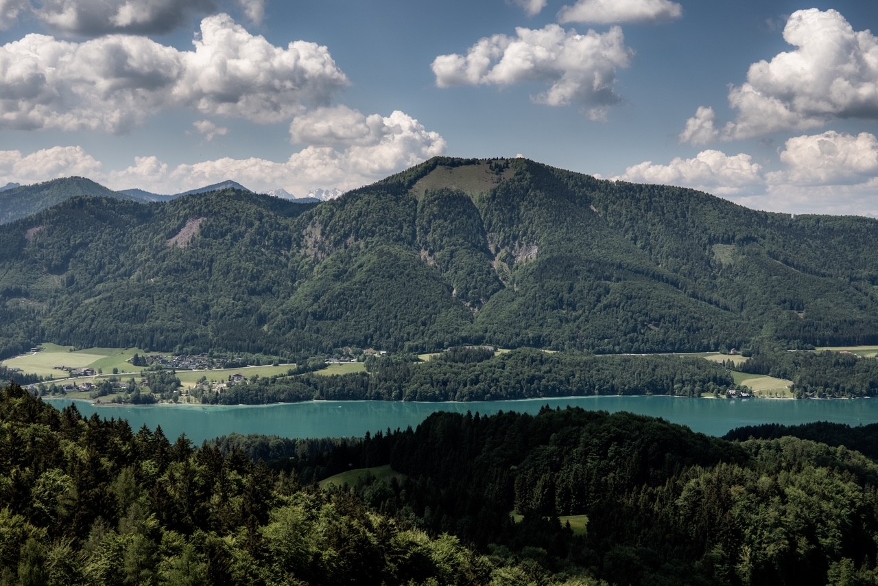 Den grønne innsjøen Fuschel Am See med skogkledde fjell i bakgrunnen
